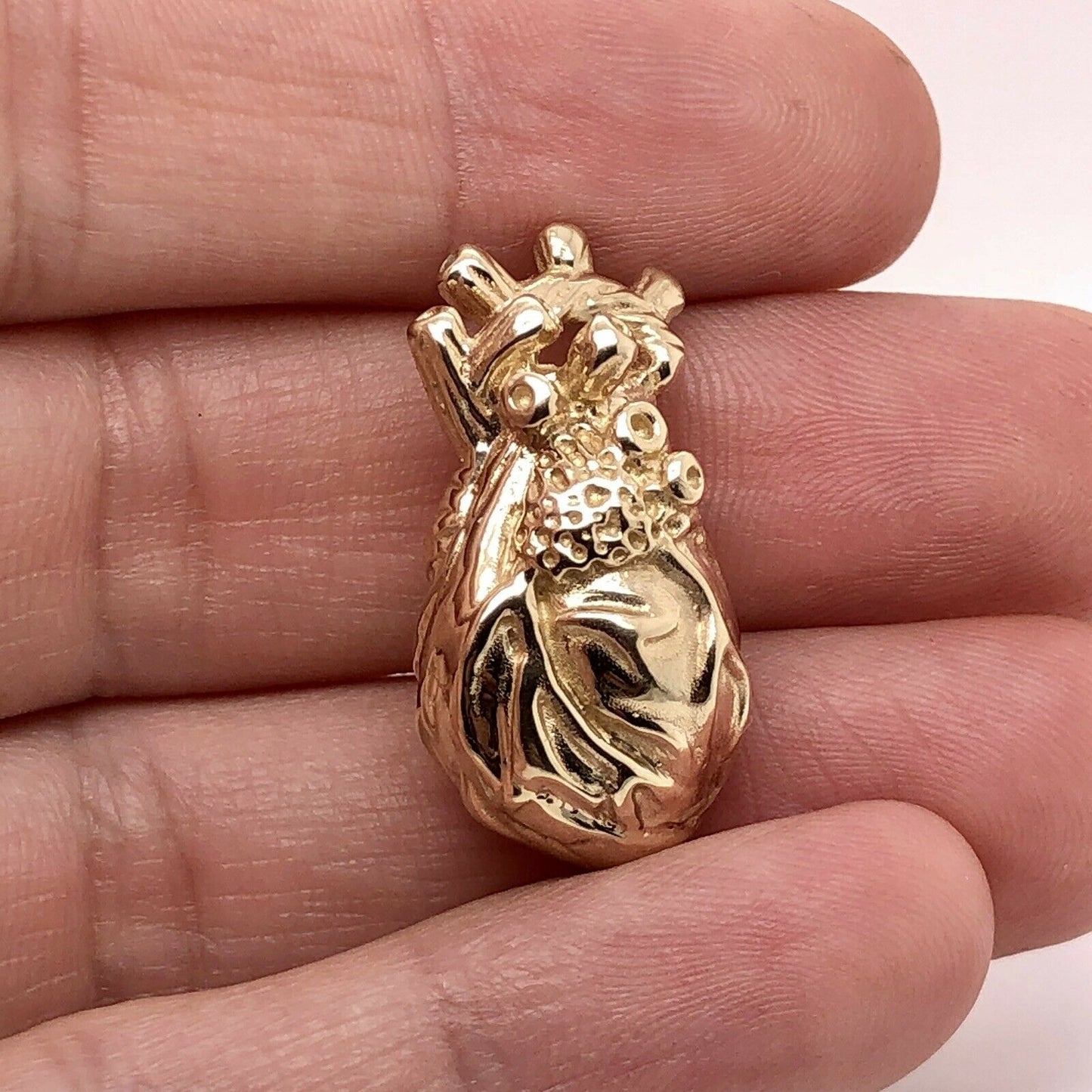 14k Gold Anatomical Human Heart 3D Model Anatomy Medical Pendant Custom Made