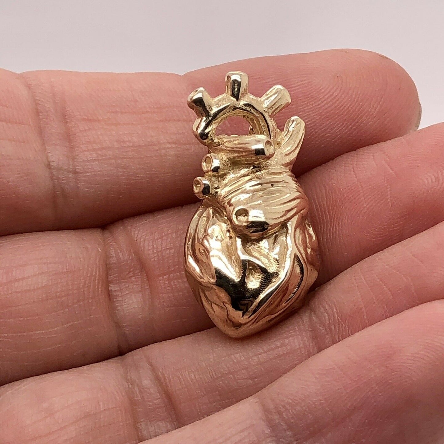 14k Gold Anatomical Human Heart 3D Model Anatomy Medical Pendant Custom Made